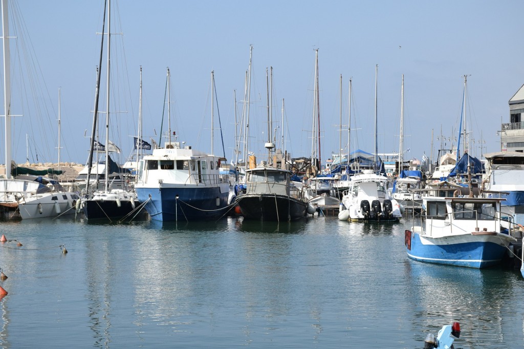 Jaffa Harbor